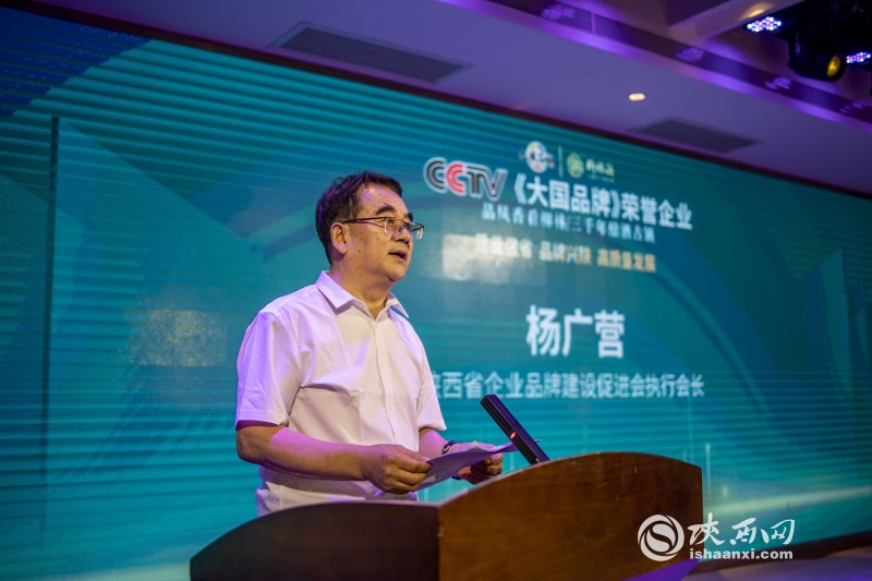 首届陕西省品牌大会,陕西文化产业高质量发展峰会