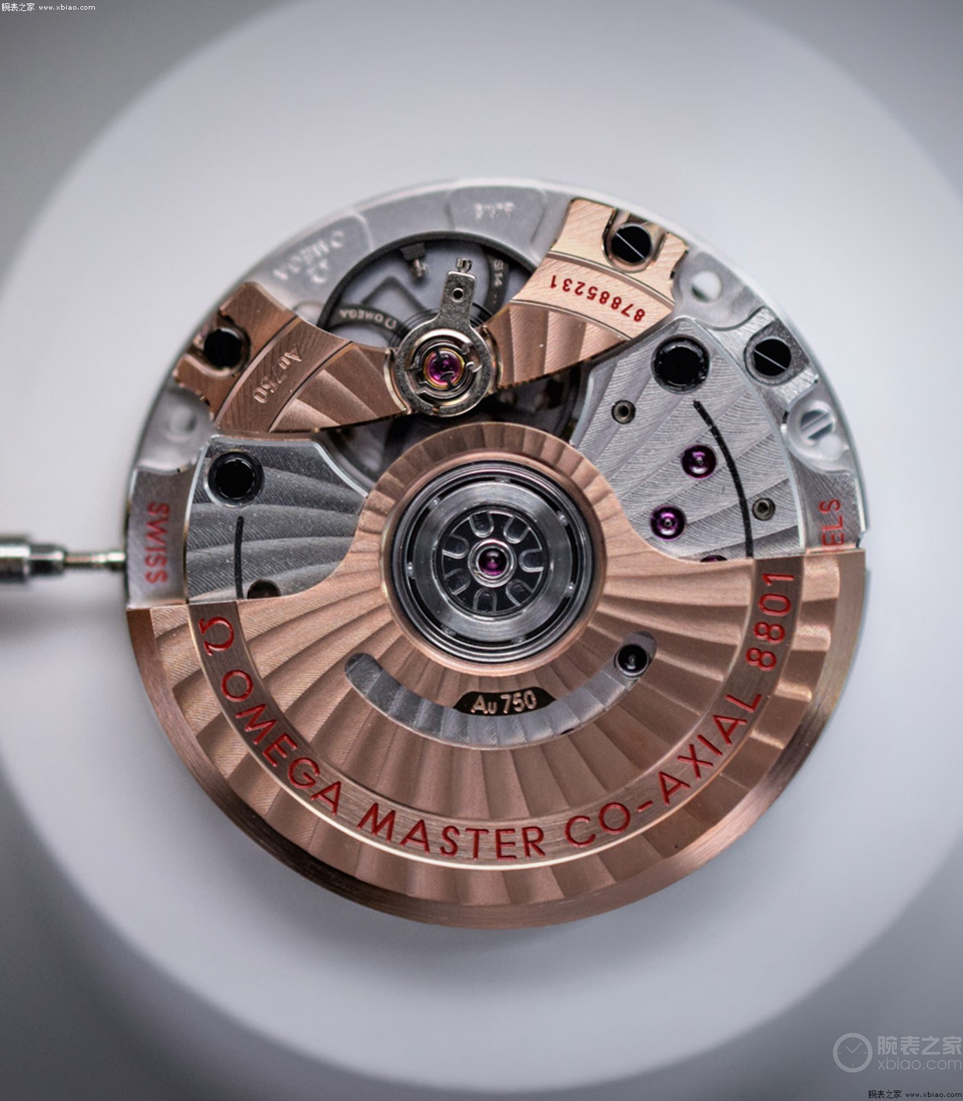 名表推荐潮表,手表推荐排行榜前十名名表