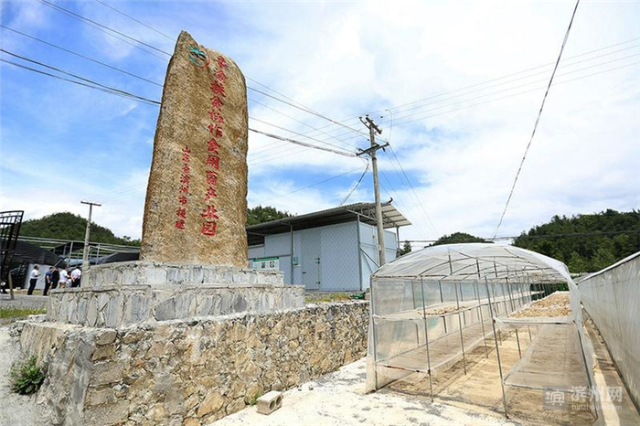 江河牵手爱洒奉节——“跨越山海‘舆’心灵相约”滨州采访团走进奉节采访活动掠影