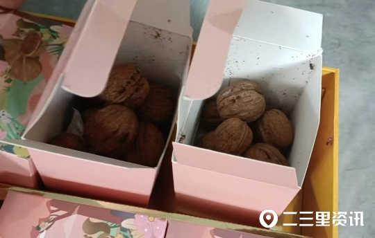 娲涘崡绾粊鏍告瑙嗛,娲涘崡绾粊鏍告