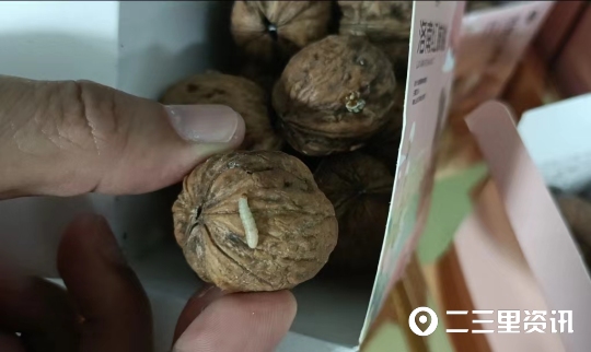 娲涘崡绾粊鏍告瑙嗛,娲涘崡绾粊鏍告