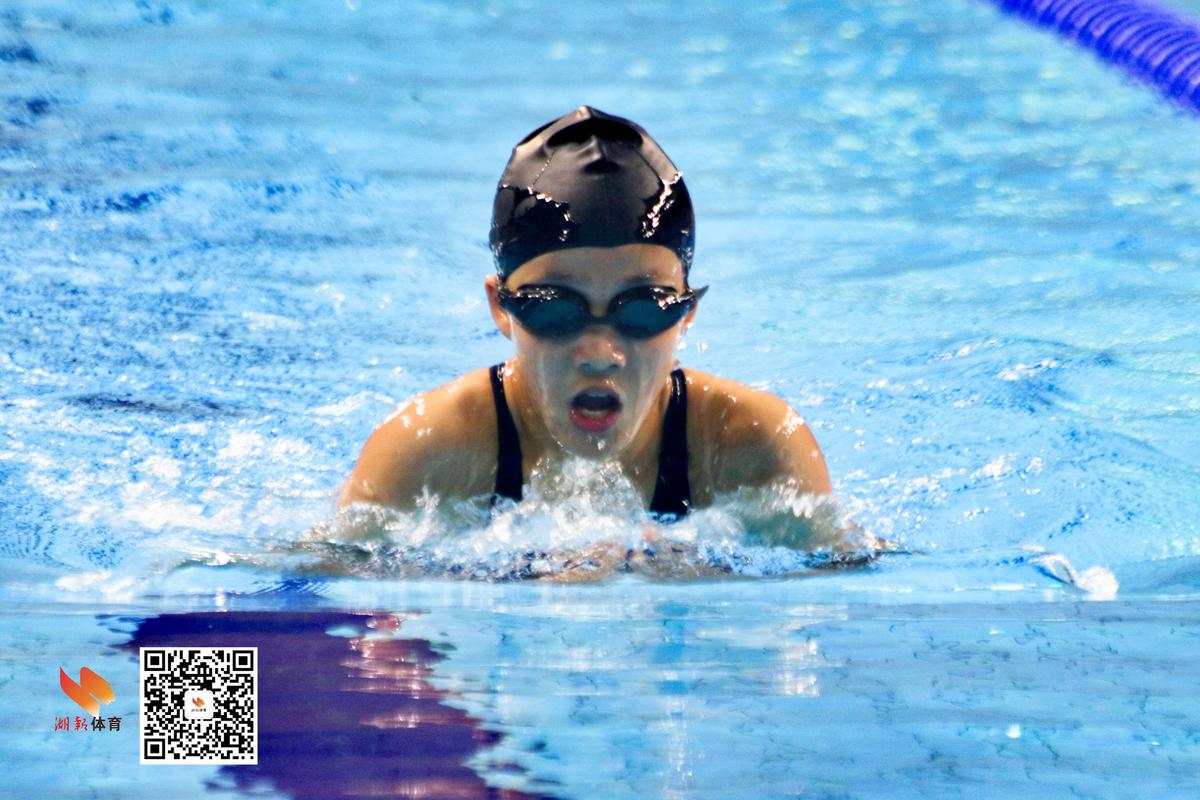 省运会游泳社会组,十六省运动会游泳比赛