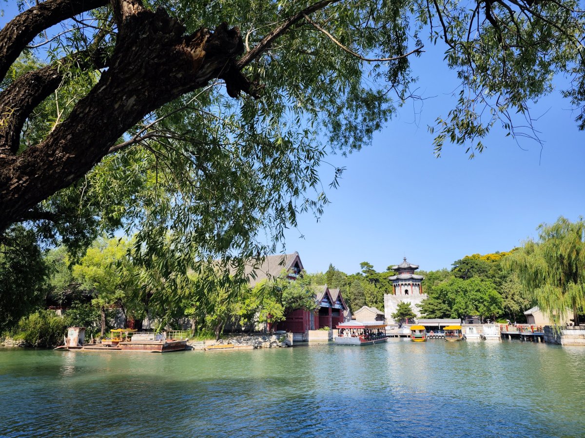 灏忕背12sultra鎷嶇収鍘绘帀灏忕背logo,灏忕背灏忕背12sultra璇勬祴