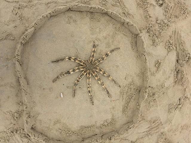 芽庄之旅姐妹情深,芽庄之旅十月