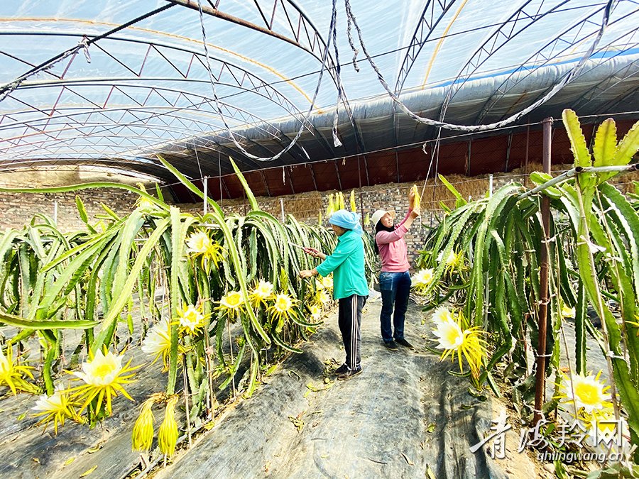 世上无难事只怕有心人是谁的名言,世上无难事只怕有心人的下半句