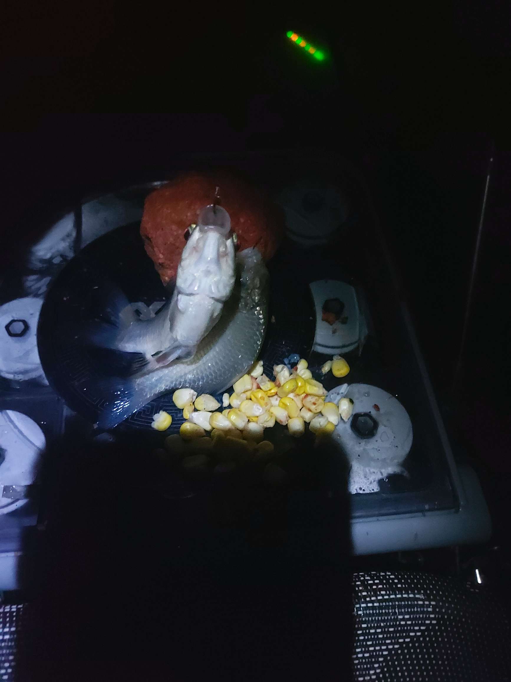 提前做“功课”，果然是不虚此行