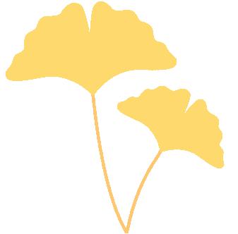 听了十几年的歌每年都会单曲循环,每一首都是单曲循环的歌曲