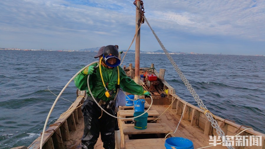 桂东出海记丨猛子将，海底捞！高风险，水上漂！好宝贝，浪里淘！揭秘胶州湾深潜捕捞者