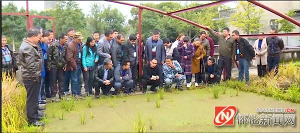 扛牢农业大省责任,怀化职业技术学院杂交水稻发源地