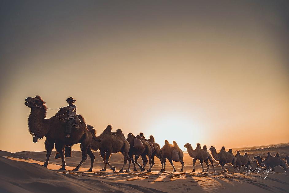 在九月要干什么工作好,九月最想做的事情