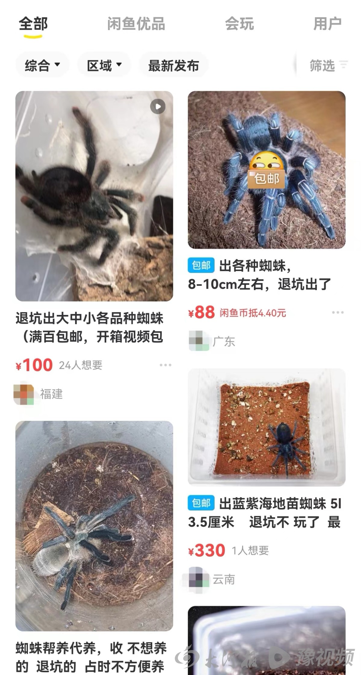 鳄雀鳝的秘密,鳄雀鳝快递视频