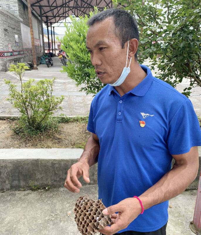 野蜂窝里“捅”出致富好产业