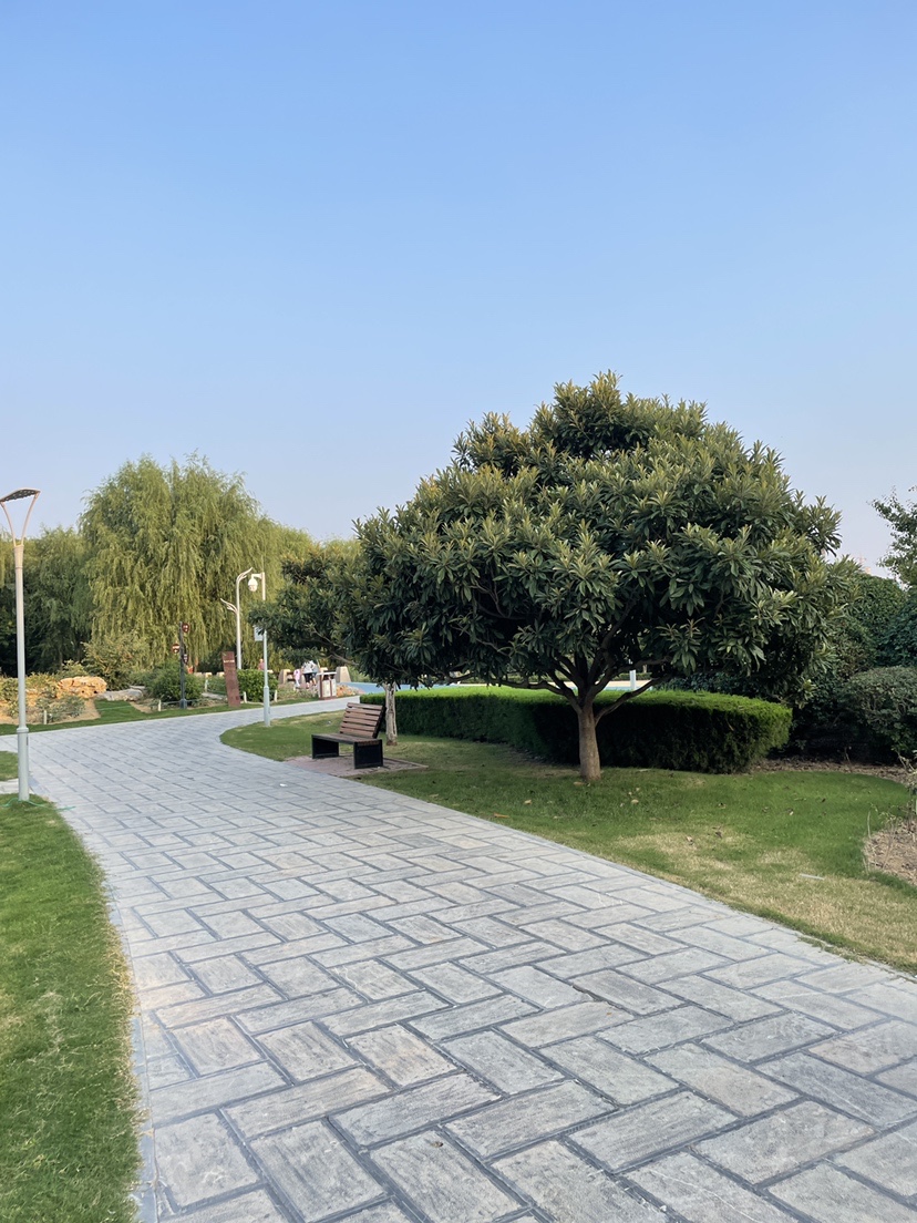 用玉米钓鱼教程,钓鱼玉米打窝技巧