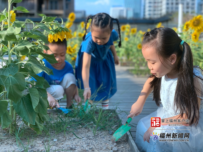 幼儿园楼顶花园设计40平米,幼儿园天台花园设计实景效果图