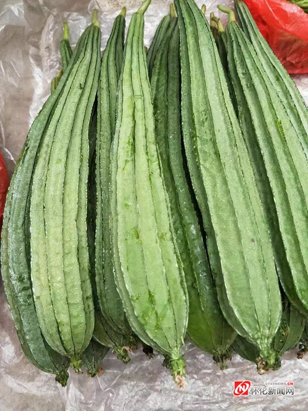 丝瓜腥味是怎么回事,丝瓜籽有苦味是怎么回事