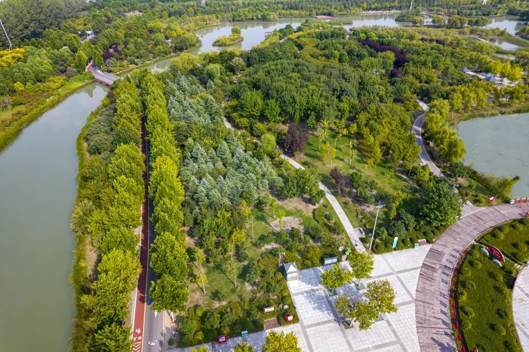 临颍最美千亩湖,临颍县千亩森林公园