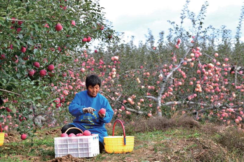 一路向北陕西,一路向北陕西之行