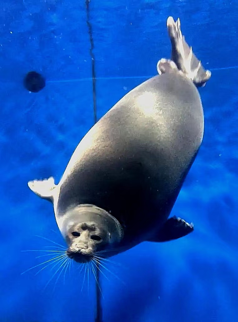 李健贝加尔湖畔的传奇,用心聆听李健贝加尔湖畔