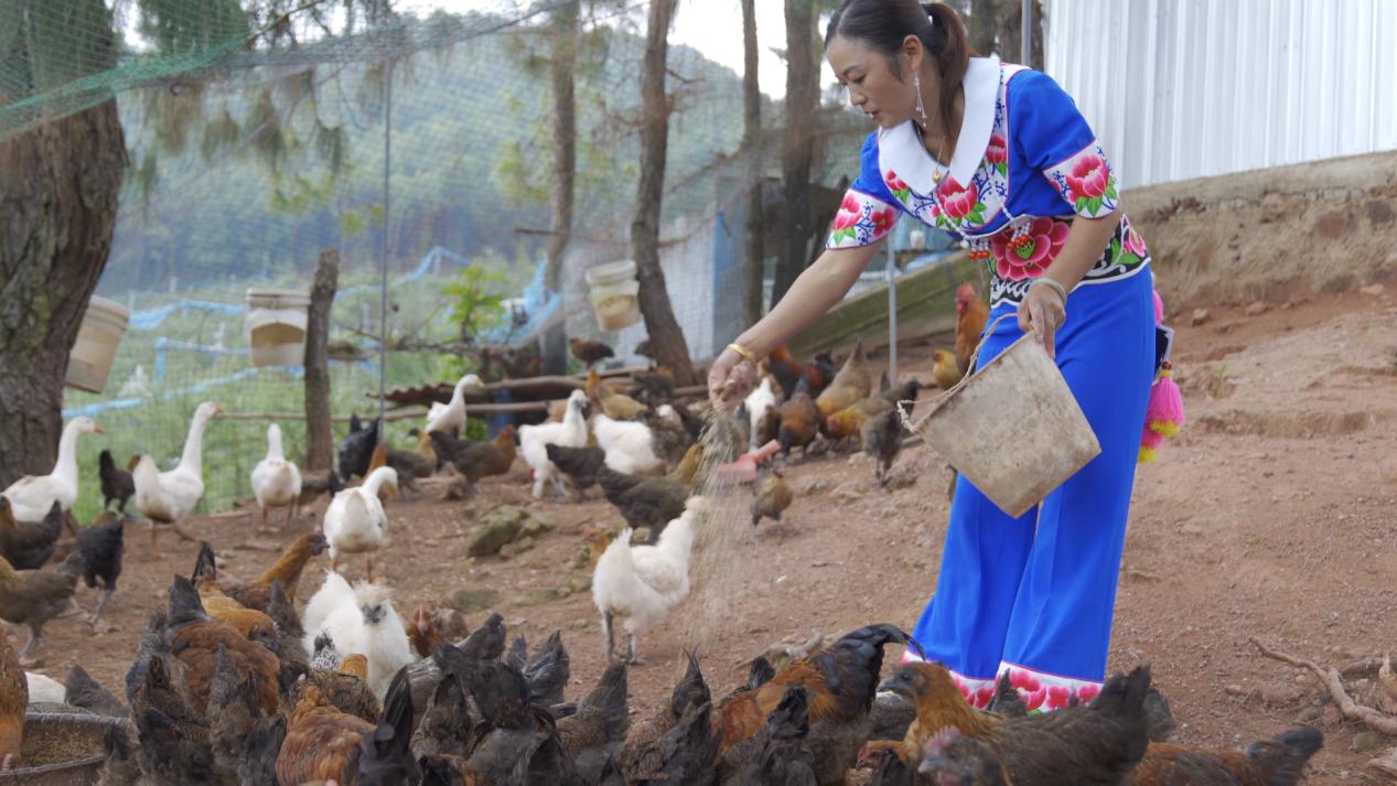 牟定农家乐和休闲农庄,牟定世外桃源山庄