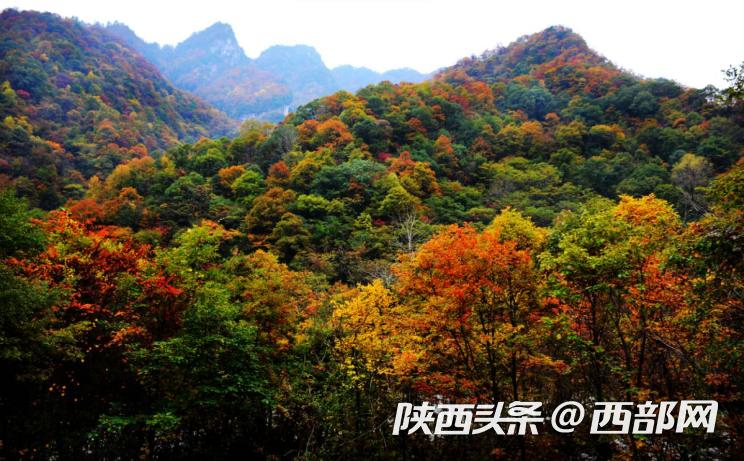 陕西推荐六条生态特色游路线,陕西最美旅游攻略