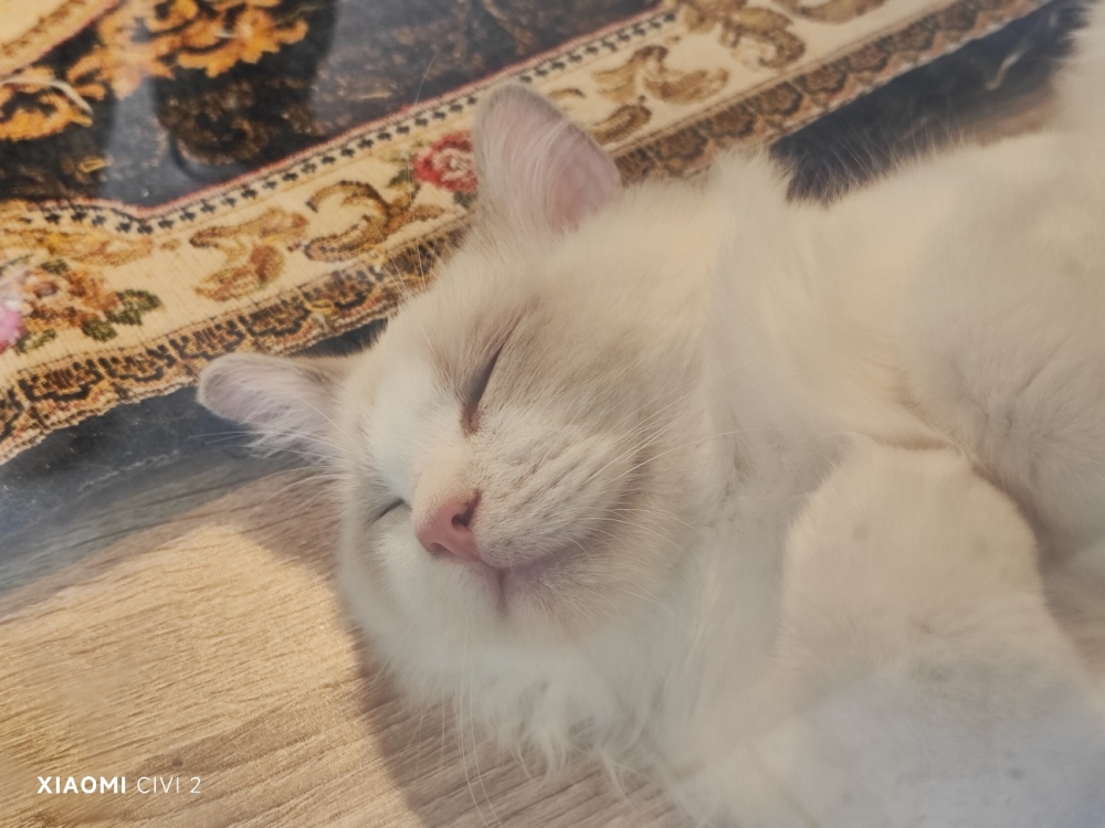 小米civi2最新评测,小米Civi2评测视频