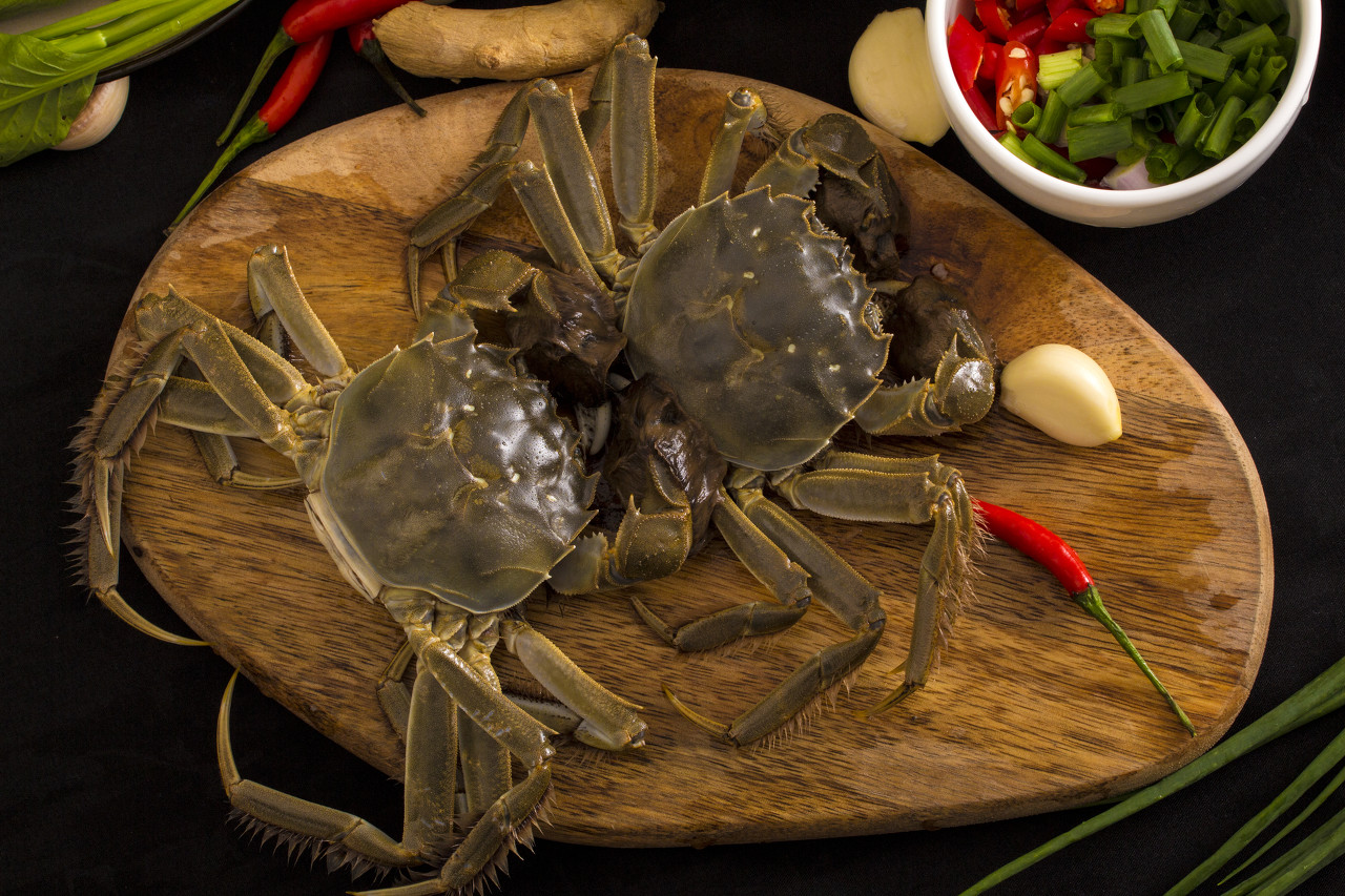 大闸蟹直播卖蟹,大闸蟹活蟹直播卖货