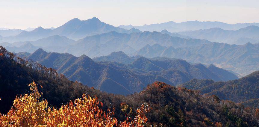 沈阳市内旅游景点推荐网红一日游,沈阳市附近网红打卡旅游景点