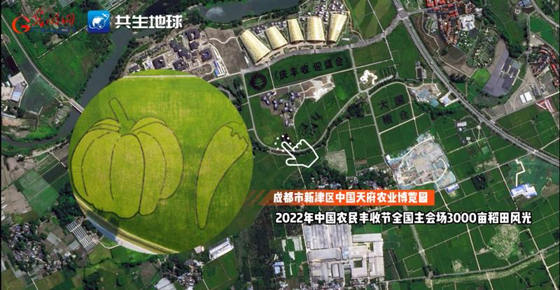 川蜀大地“丰”景正当时