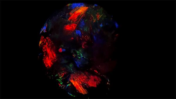 卡地亚珠宝名品欣赏,卡地亚演绎高级珠宝意象之美