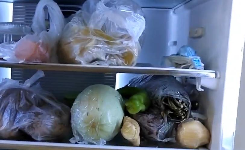 冰箱里有异味放什么可以清除异味,冰箱鱼腥异味去除最快方法小窍门