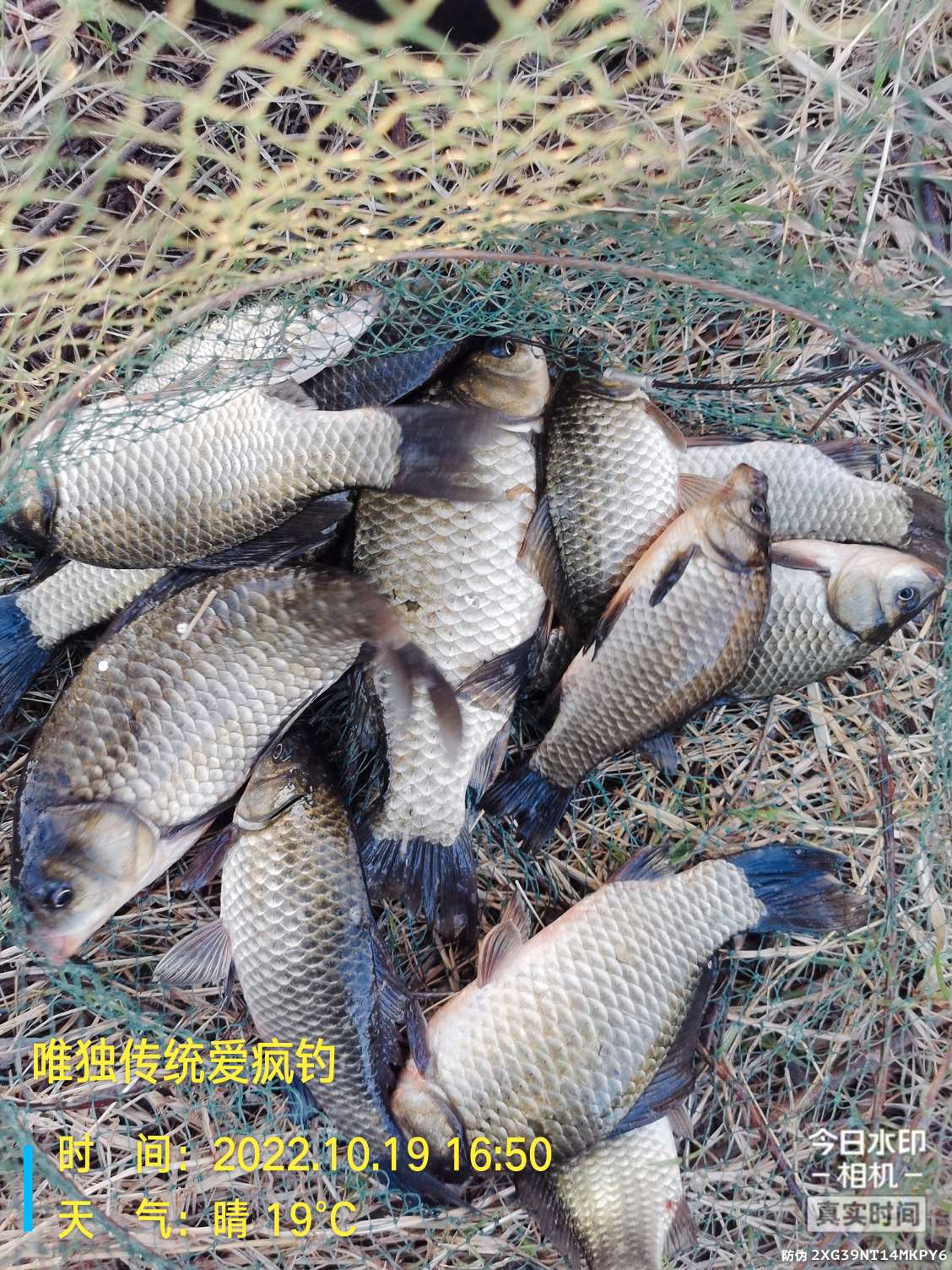 传统钓有风浪,传统钓线组如何应对风浪