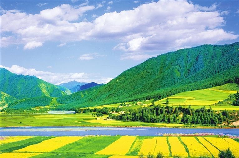 武威走生态优先绿色发展之路,武威市树牢生态发展理念