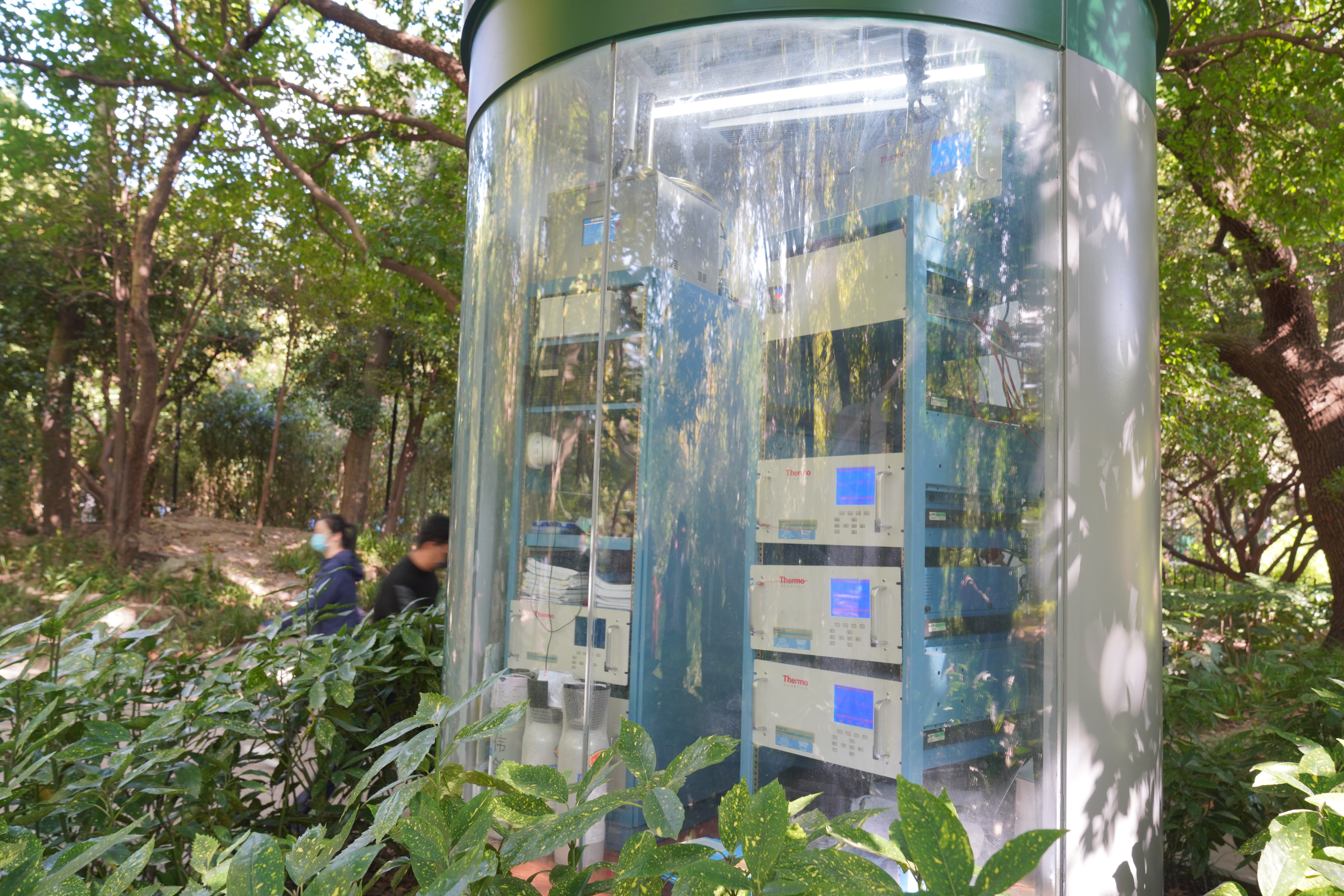 你以为早起的鸟儿一定有虫子吃吗,早起的鸟儿会有多的虫子吃吗