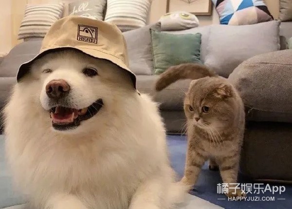 还记得“回忆专用小马甲”博主吗？他现在谈恋爱了？