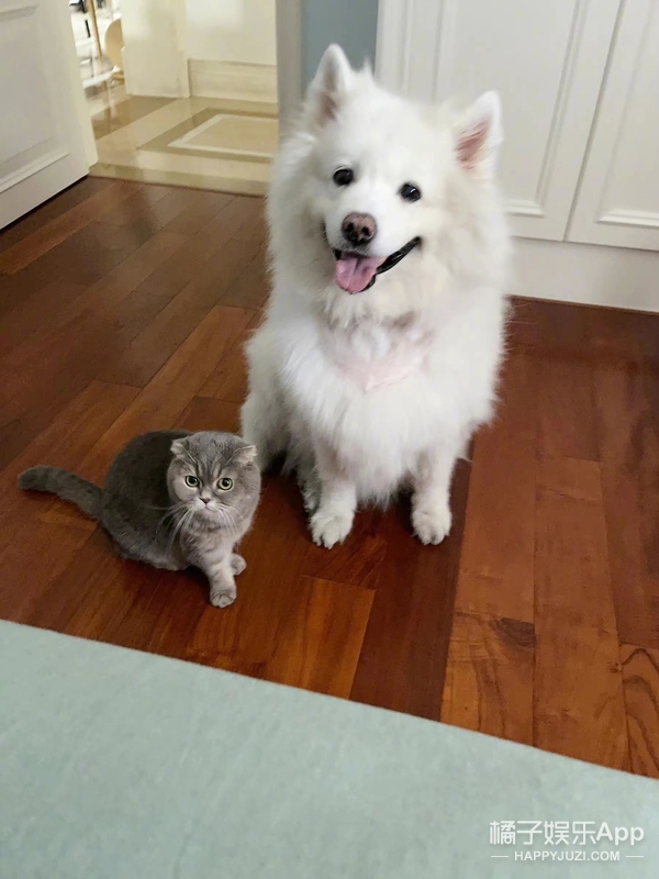 还记得“回忆专用小马甲”博主吗？他现在谈恋爱了？