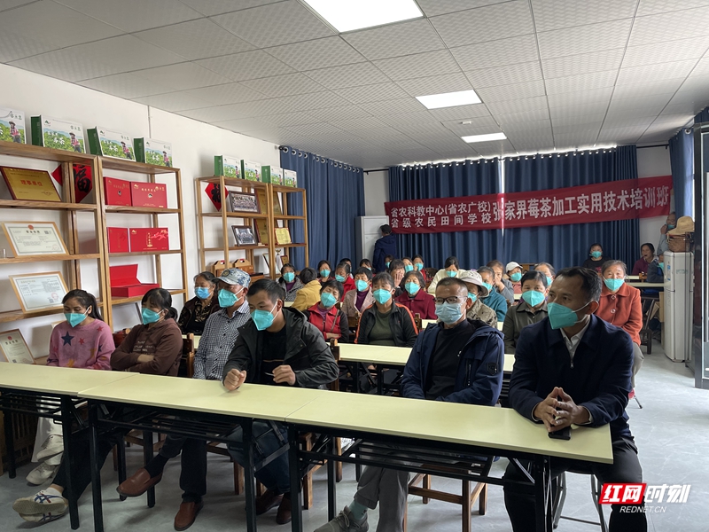 农科所开展春季生产技术培训,乡镇农业科技培训方案