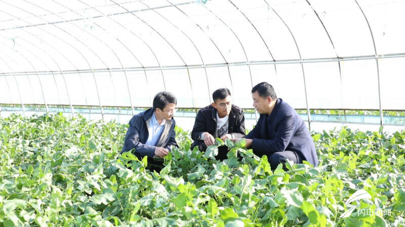 特色种植“品牌化”！宁津：水果飘香产业兴走出“甜蜜”致富路