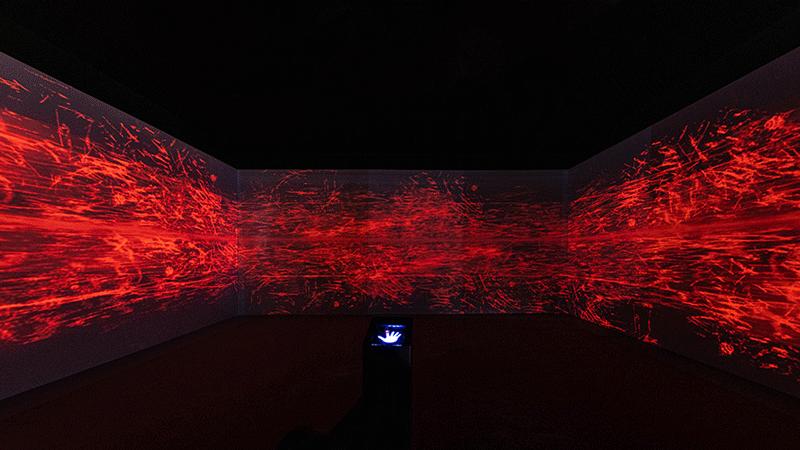 兰蔻菁纯艺术展预热,兰蔻菁纯艺术之夜