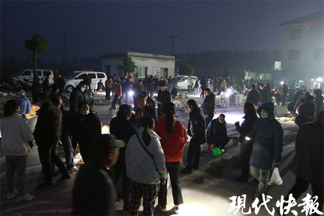 苏北农村的致富路,苏北偏僻小村庄的水晶致富路