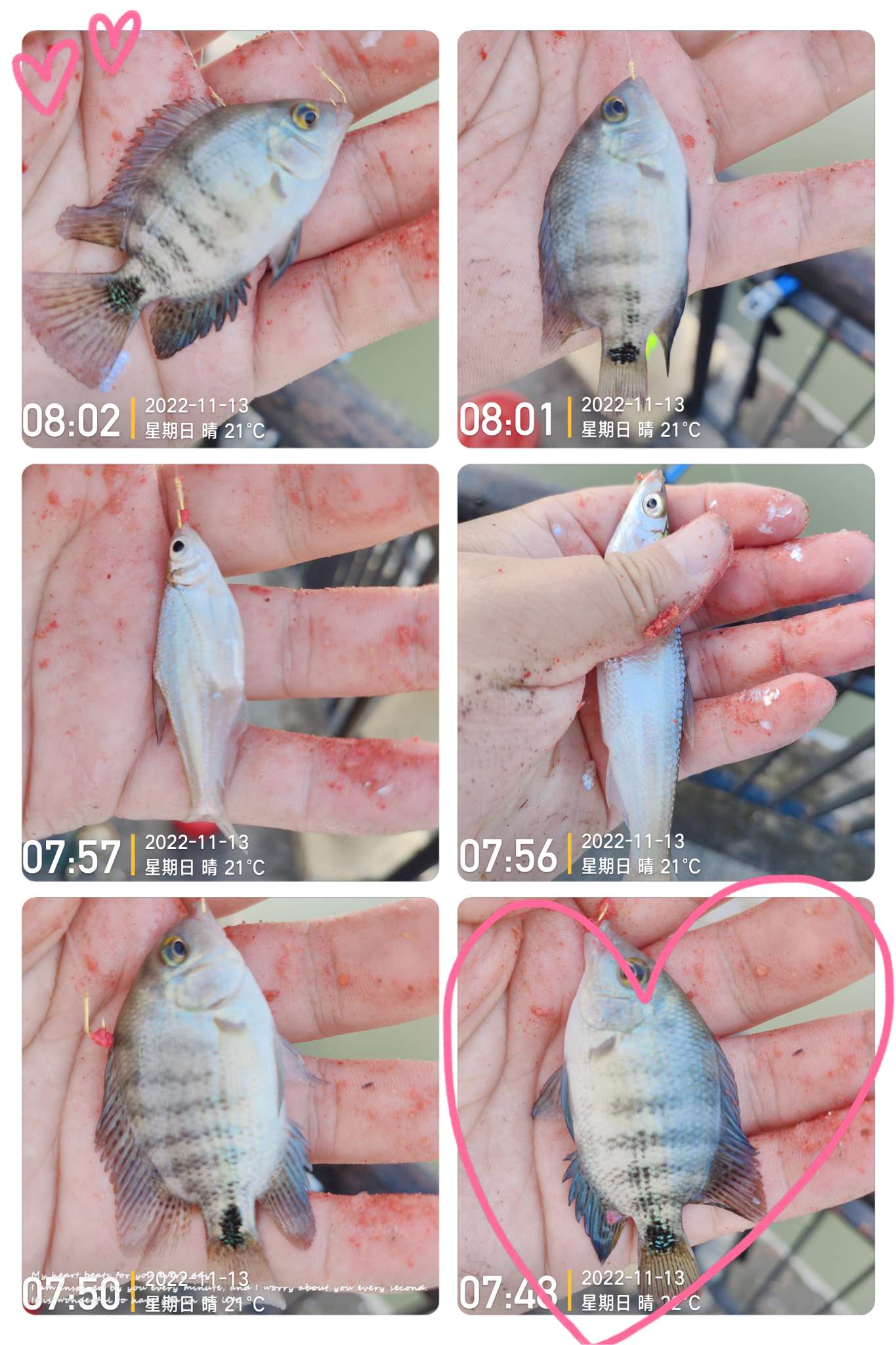 刷新了对钓鱼的认知,钓鱼的十个思维方法