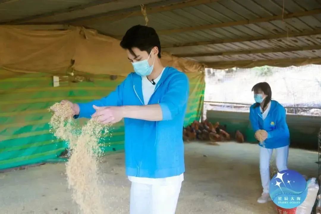 中国电影金鸡奖星辰大海,星辰大海电视连续剧