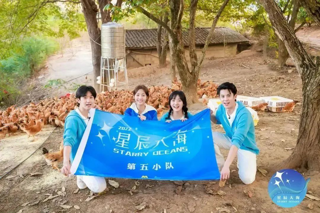 中国电影金鸡奖星辰大海,星辰大海电视连续剧