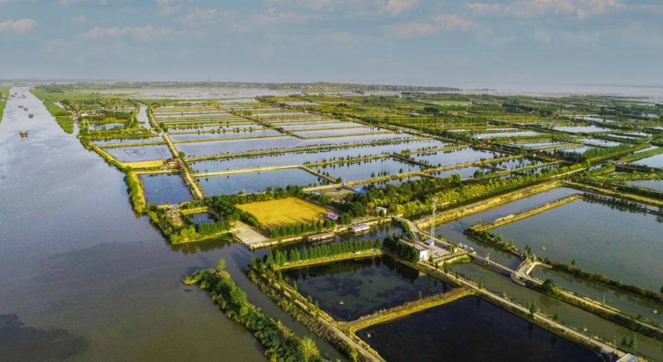 阳澄湖大闸蟹亩产量一般多少斤,微山湖大闸蟹养殖方法