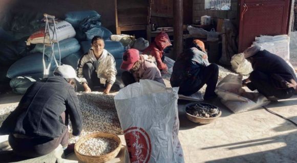 阿里巴巴残疾人公益答卷,阿里巴巴残疾人公益项目