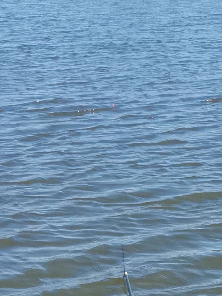 线组的正确选择与使用,冬季线组如何做到最精细