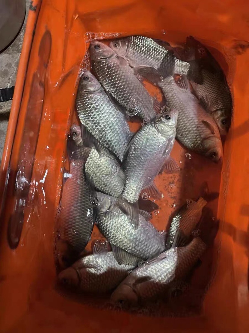 线组的正确选择与使用,冬季线组如何做到最精细