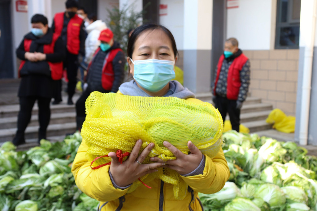 暖心惠农60万斤蔬菜免费送,温暖5000斤爱心菜免费送居民