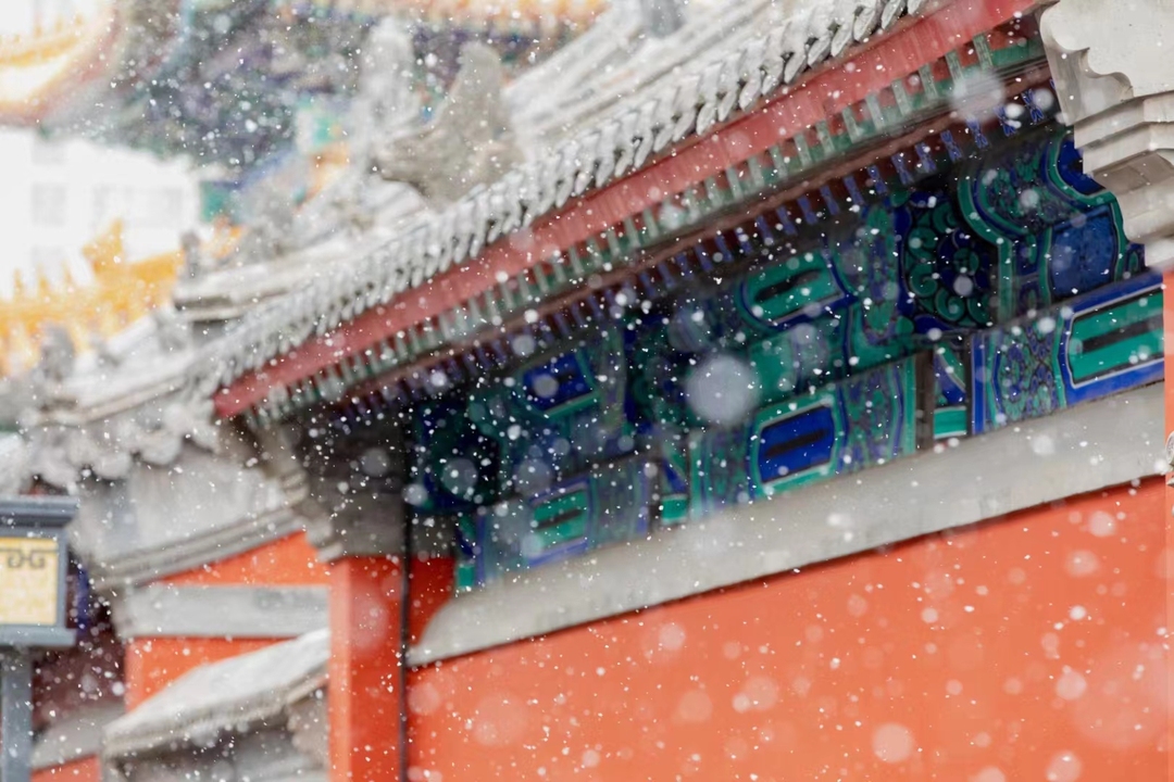 立冬过后这4款养生驱寒汤送给你,适合入冬后温补的汤