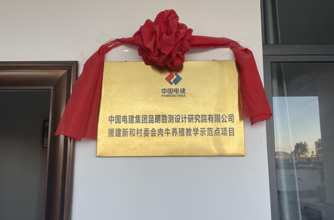 中国电建昆明勘测设计院2024中标,中国电建昆明勘测设计研究院招聘