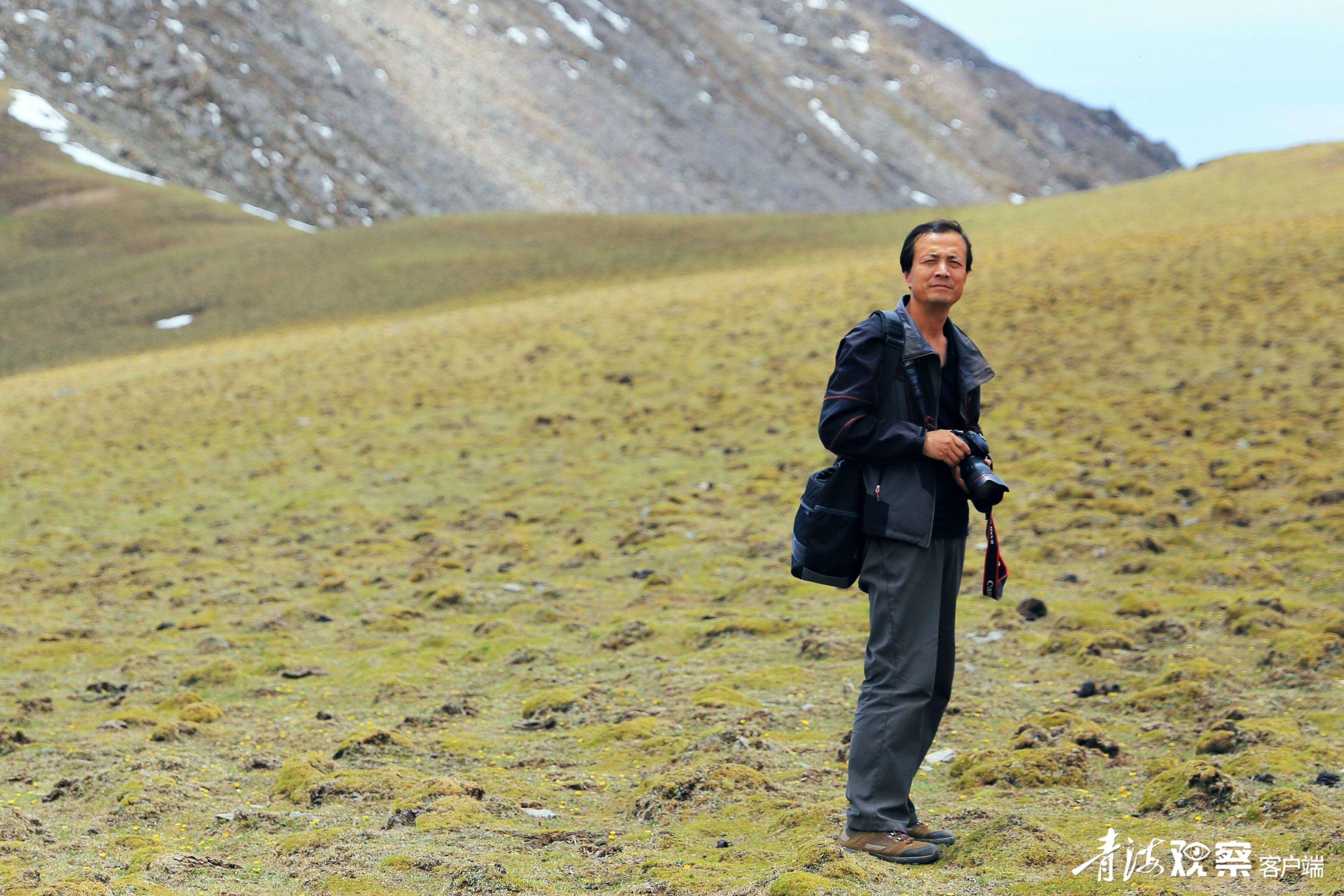 高原上的各种花真是太美了 (高原上的各种美丽花)
